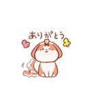 うちの丸いシーズー1（個別スタンプ：3）