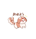 うちの丸いシーズー1（個別スタンプ：4）