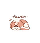 うちの丸いシーズー1（個別スタンプ：5）
