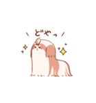 うちの丸いシーズー1（個別スタンプ：7）