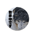 桃香スタンプその2（個別スタンプ：17）