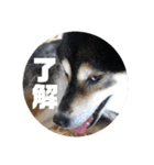 桃香スタンプその2（個別スタンプ：23）