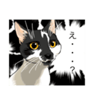 あまりにもリアルな猫（個別スタンプ：1）