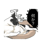 あまりにもリアルな猫（個別スタンプ：7）