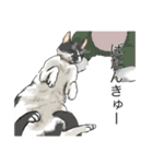 あまりにもリアルな猫（個別スタンプ：10）