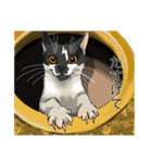 あまりにもリアルな猫（個別スタンプ：12）