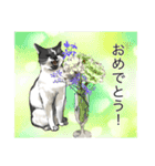 あまりにもリアルな猫（個別スタンプ：15）