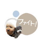 - ゆいちゃん -（個別スタンプ：16）