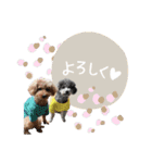 - ゆいちゃん -（個別スタンプ：28）