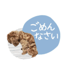 - ゆいちゃん -（個別スタンプ：35）