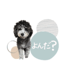 - ゆいちゃん -（個別スタンプ：39）