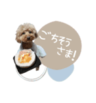 - ゆいちゃん -（個別スタンプ：40）