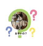パンとオレオ（個別スタンプ：8）