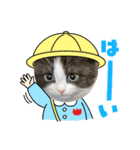 パンとオレオ（個別スタンプ：10）