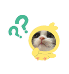 パンとオレオ（個別スタンプ：13）