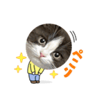 パンとオレオ（個別スタンプ：19）