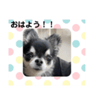 まいにちくぅちゃん（個別スタンプ：2）