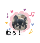 まいにちくぅちゃん（個別スタンプ：4）