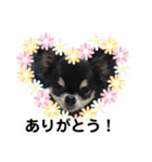 まいにちくぅちゃん（個別スタンプ：5）