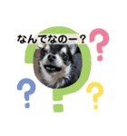 まいにちくぅちゃん（個別スタンプ：8）