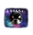 まいにちくぅちゃん（個別スタンプ：10）