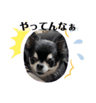 まいにちくぅちゃん（個別スタンプ：11）