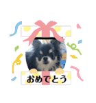 まいにちくぅちゃん（個別スタンプ：12）