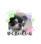 まいにちくぅちゃん（個別スタンプ：13）