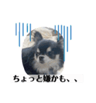 まいにちくぅちゃん（個別スタンプ：15）