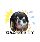 まいにちくぅちゃん（個別スタンプ：16）