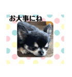 まいにちくぅちゃん（個別スタンプ：18）