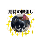まいにちくぅちゃん（個別スタンプ：19）