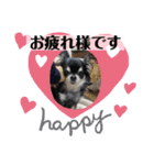 まいにちくぅちゃん（個別スタンプ：20）