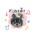 まいにちくぅちゃん（個別スタンプ：21）