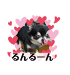 まいにちくぅちゃん（個別スタンプ：24）