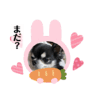 まいにちくぅちゃん（個別スタンプ：26）