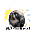 まいにちくぅちゃん（個別スタンプ：27）
