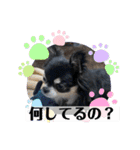 まいにちくぅちゃん（個別スタンプ：28）