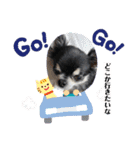 まいにちくぅちゃん（個別スタンプ：29）