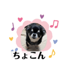 まいにちくぅちゃん（個別スタンプ：30）