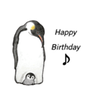 penguins ☆ world（個別スタンプ：4）