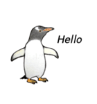 penguins ☆ world（個別スタンプ：11）