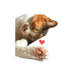 三毛猫じじ♀（個別スタンプ：15）