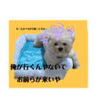 ヤーマン街道まっしぐら（個別スタンプ：3）