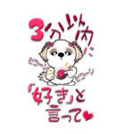 【Big】シーズー犬28『愛がいっぱい』（個別スタンプ：25）