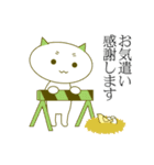 抹茶ねこの敬語スタンプ（個別スタンプ：12）