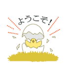 抹茶ねこの敬語スタンプ（個別スタンプ：13）