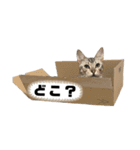 我が家のこてつvol.3（個別スタンプ：11）