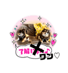 Chihuahua's Song ソラとリズ⑤（個別スタンプ：21）