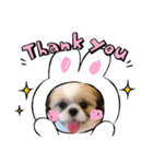 愛犬スタンプちゃい（個別スタンプ：4）